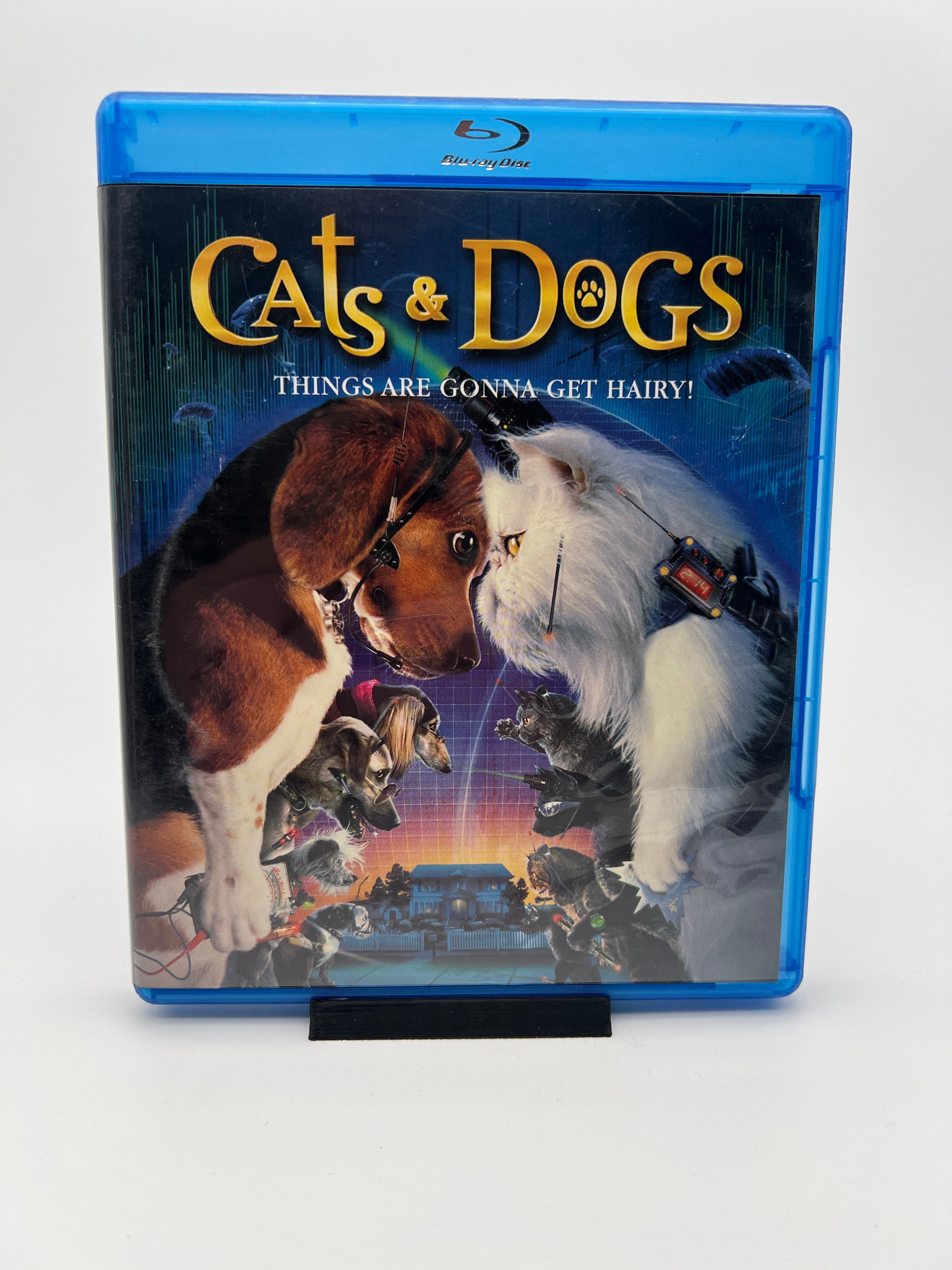 Cats & Dogs