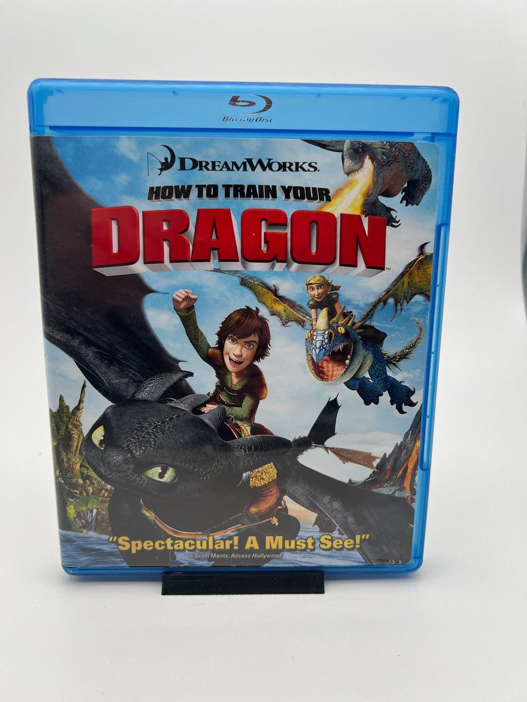 How to Train Your Dragon