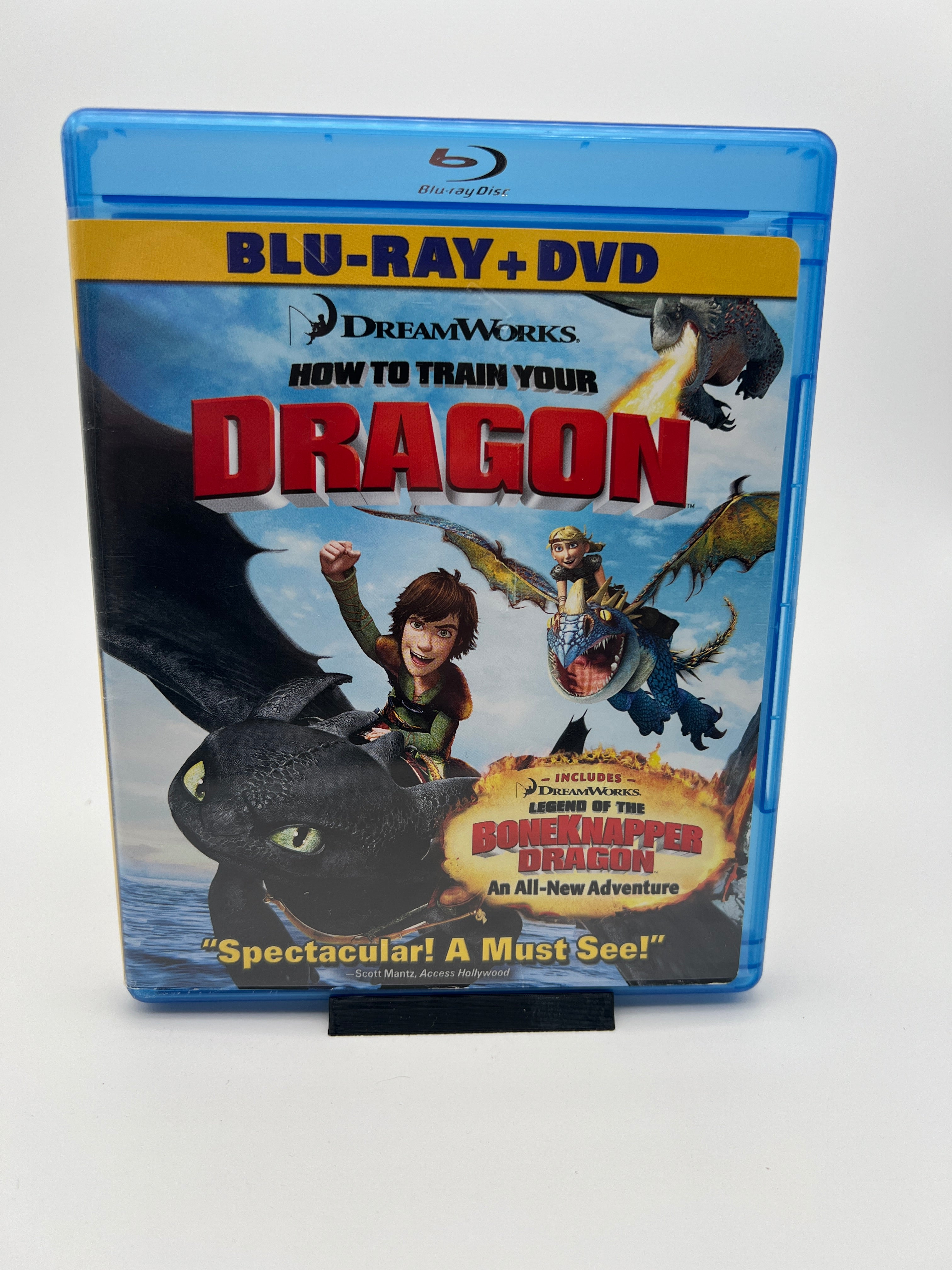 How to Train Your Dragon