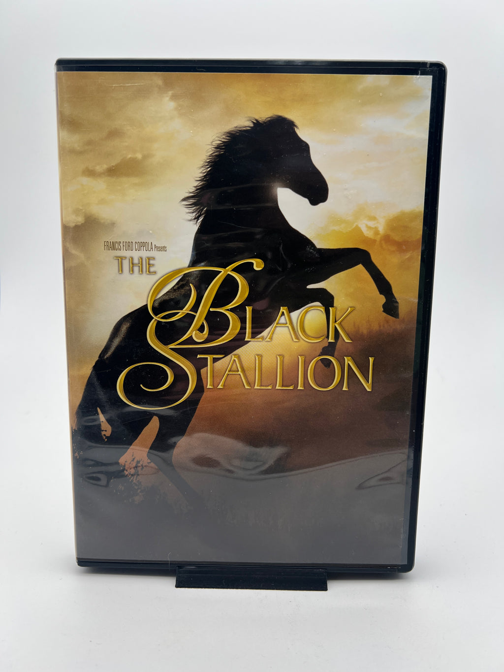 Black Stallion, The