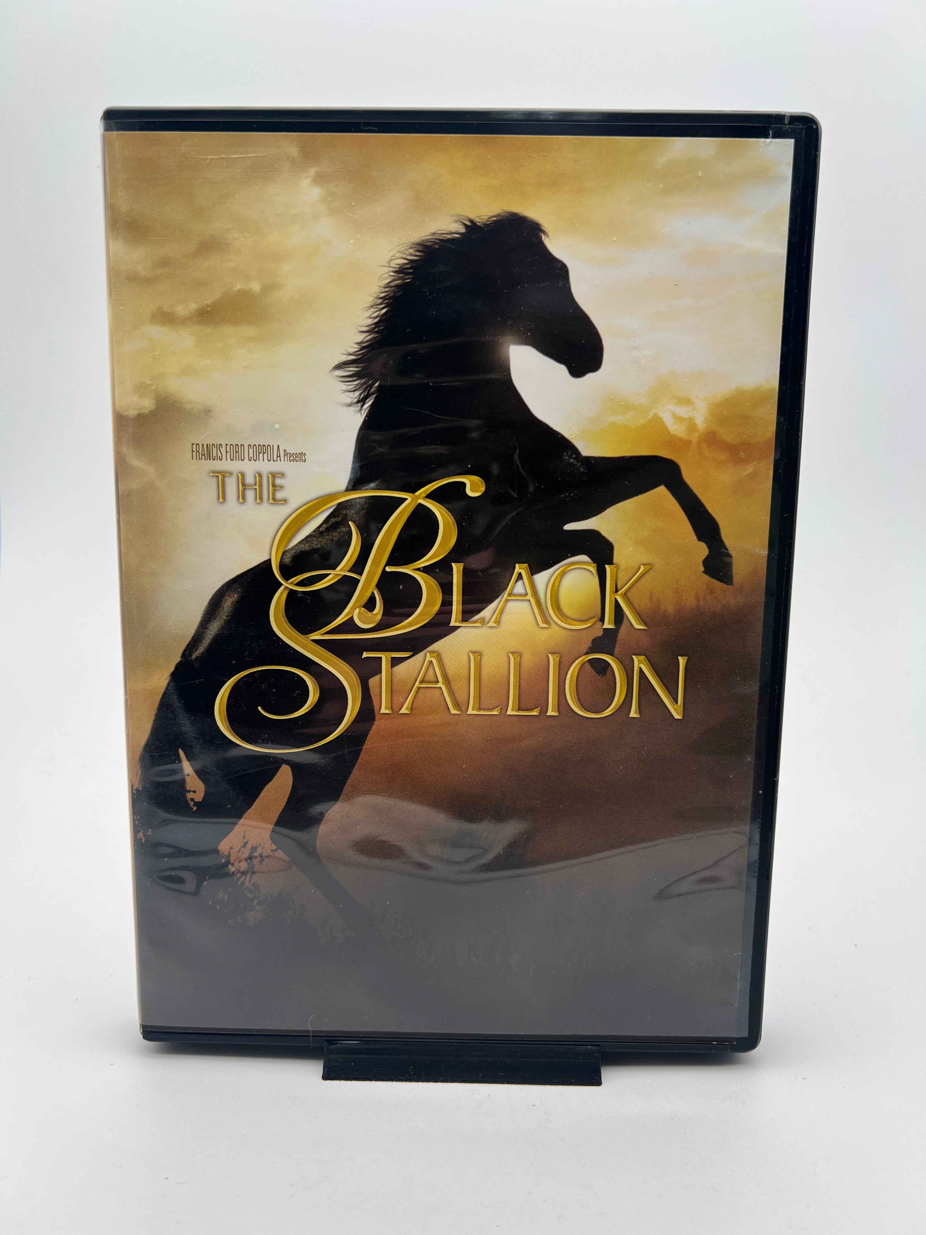 Black Stallion, The
